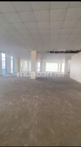 CHUYỂN NHƯỢNG ĐẤT DỰ ÁN ĐÃ SẴN TÒA NHÀ 7 TẦNG TẠI TT PHÙNG, ĐAN PHƯỢNG