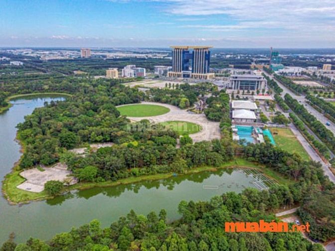 Đất Bình Dương giá rẻ thu hút chủ đầu tư và người dân