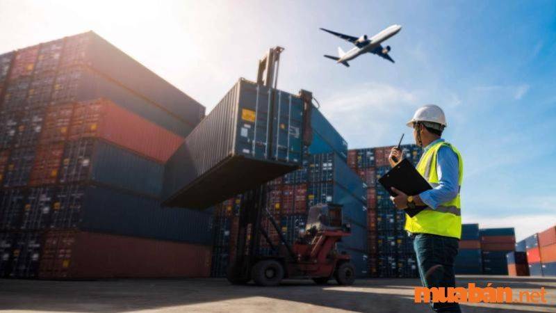 Logistics là một ngành hot tại thị trường việc làm Cần Thơ