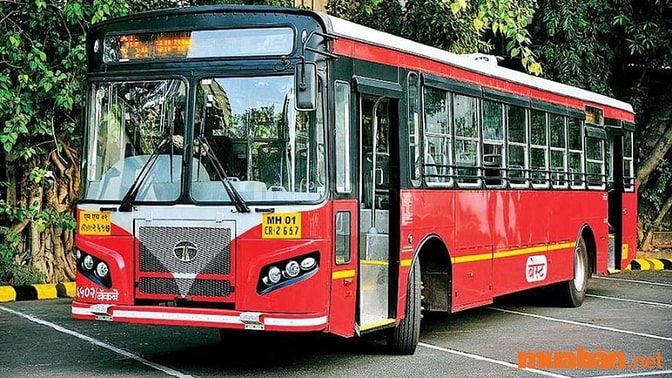 Dễ dàng tìm việc làm lái xe hạng E