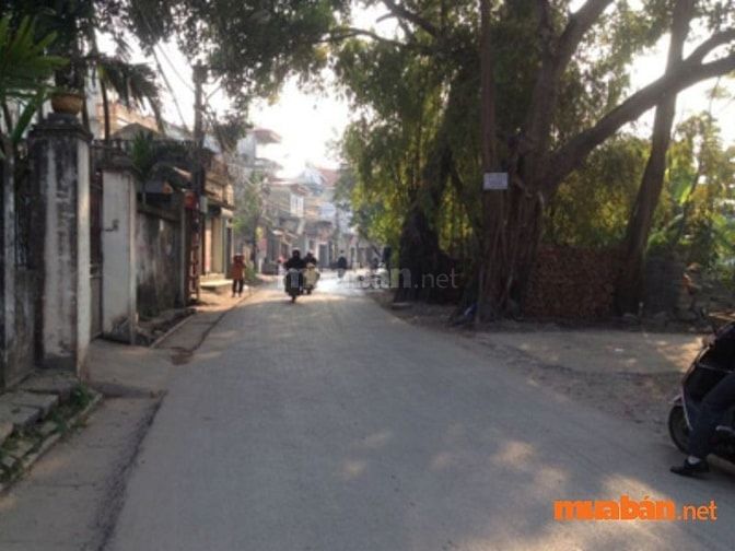 Tiềm năng phát triển tại đường Tả Thanh Oai