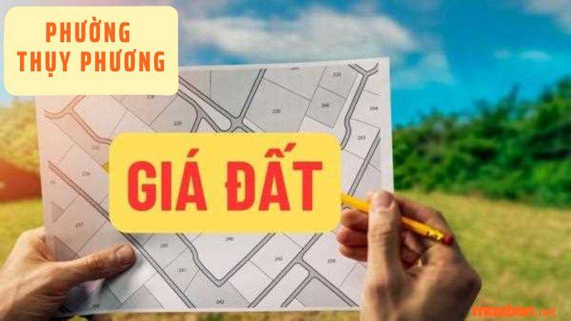 Giá bán đất Thụy Phương, quận Bắc Từ Liêm theo từng khu vực