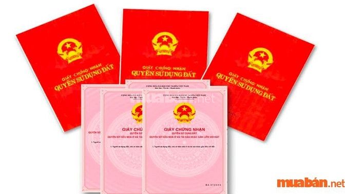 Xem xét thông tin giấy tờ về căn nhà 