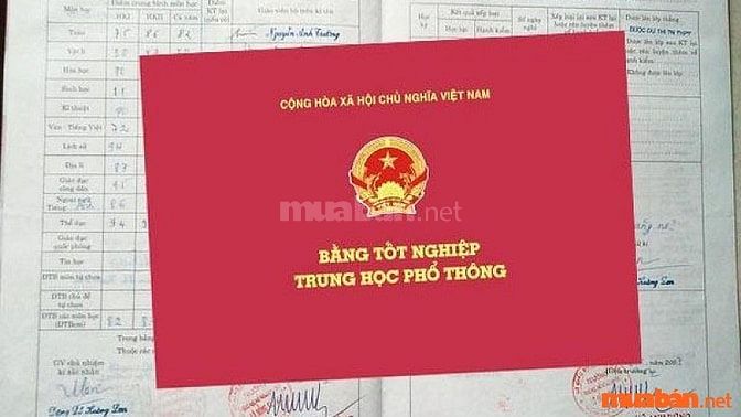 Tốt nghiệp THPT là yêu cầu cần thiết khi ứng tuyển nhân viên bán hàng Con Cưng