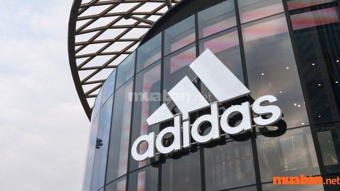 Tình hình Adidas tuyển dụng nhân viên bán hàng