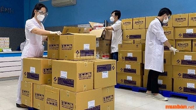 Nhân viên giao nhận hàng thuốc tây kiểm tra, sắp xếp và đóng gói thuốc theo yêu cầu