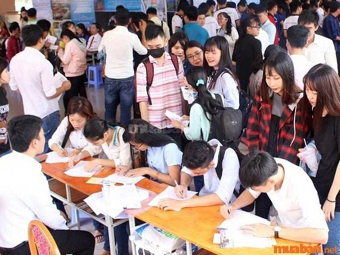 Nhu cầu tuyển dụng việc làm hè cho học sinh cấp 3