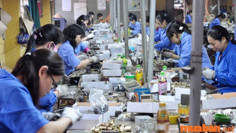 Mức thu nhập trung bình các công việc phổ biến dành cho phụ nữ trung niên