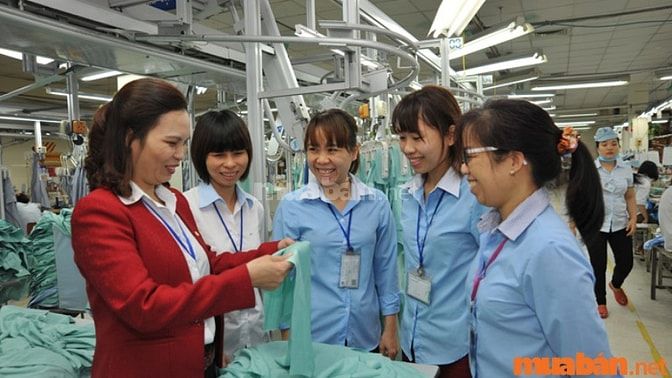Điểm mạnh của phụ nữ trung niên khi tìm kiếm việc làm