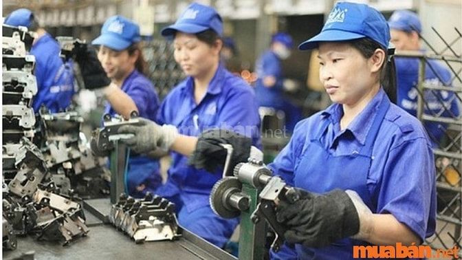 Thách thức của phụ nữ trung niên khi tìm kiếm việc làm