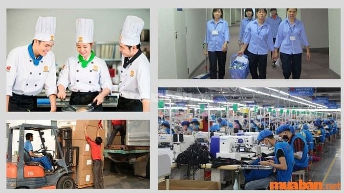 Tìm việc làm 8 tiếng uy tín tại Huyện Bình Chánh tại Muaban.net