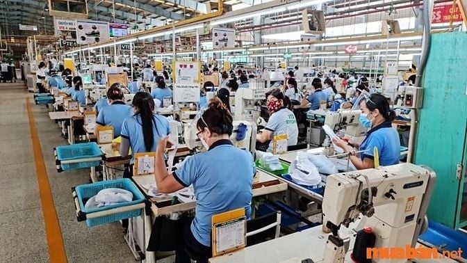 Chọn lọc thông tin các việc làm chỉ cần CMND rõ ràng, xác thực