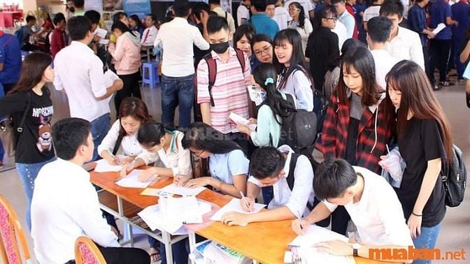 Một số lưu ý khi xin việc làm chỉ cần CMND