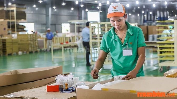 Công nhân đóng gói hàng hoá thực hiện kiểm tra sản phẩm, đóng gói hàng hoá