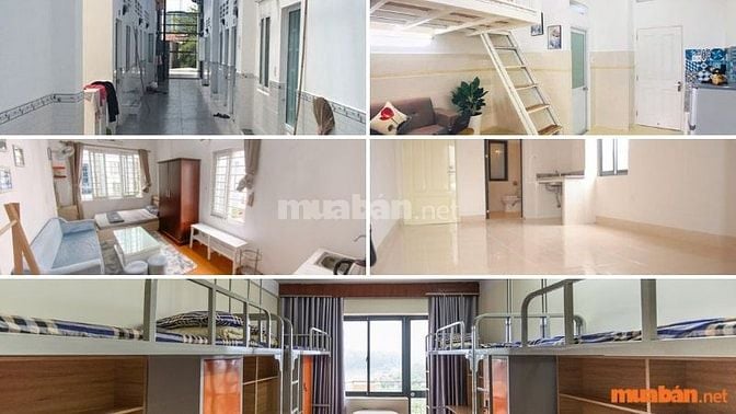  Hình 2: Những loại hình thường thấy khi thuê phòng trọ 