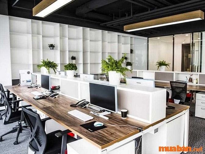 Nhiều loại hình cho thuê văn phòng