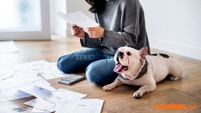 Tìm hiểu kỹ các quy định về vật nuôi (nếu có) khi thuê trọ