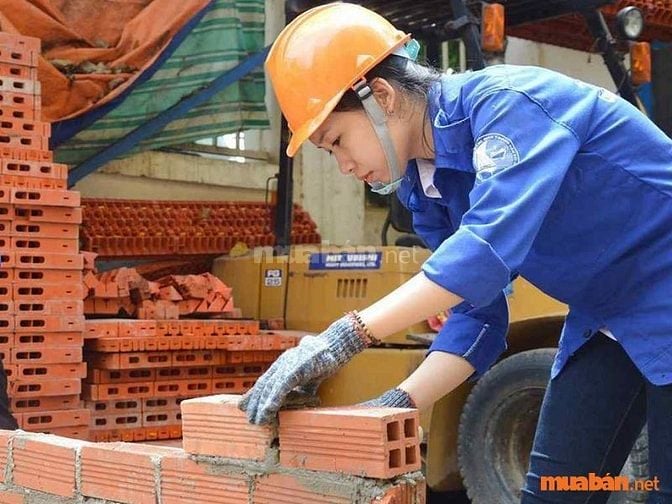 Nhu cầu tuyển dụng cao kéo theo yêu cầu về kỹ năng