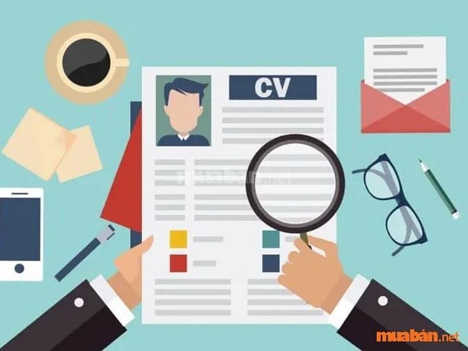 Các thông tin trên CV phải rõ ràng