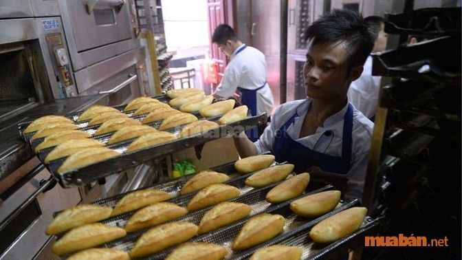 Nhu cầu tuyển dụng thợ làm bánh mì tại Hồ Chí Minh