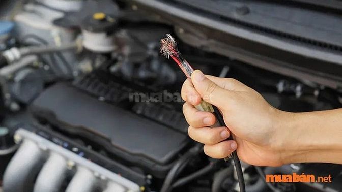 Tìm hiểu về công ty và môi trường là việc