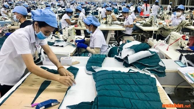 Công nhân trong lĩnh vực dệt may chủ yếu tham gia vào quá trình cắt vải
