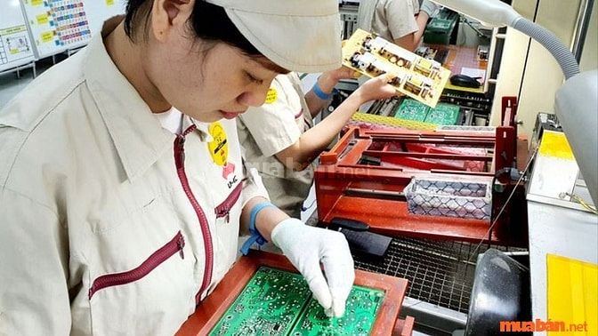 Khả năng chịu được áp lực trong môi trường cường độ cao