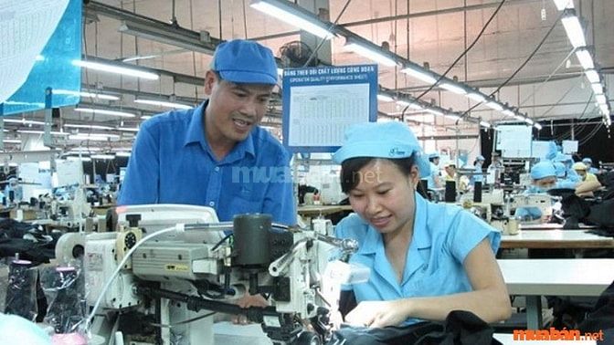 Nhân viên giám sát sản xuất