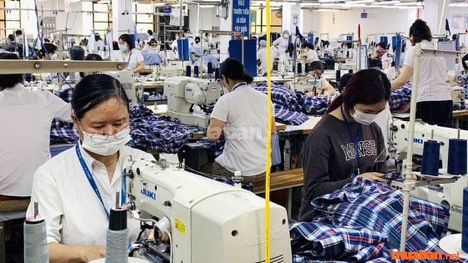 Kiến thức kỹ năng chuyên môn tùy theo ngành nghề