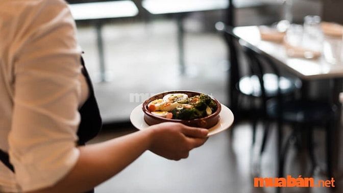 Nhu cầu tuyển dụng nhân viên phục vụ tại khu vực ngày càng trở nên cần thiết cho các nhà hàng, quán ăn