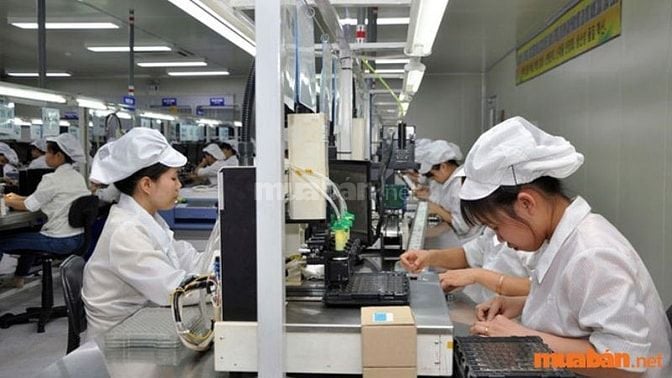 Tìm việc làm tại đường Huỳnh Tấn Phát