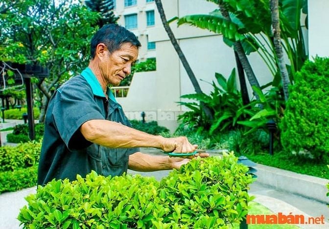 Biết cách dùng các dụng cụ làm vườn