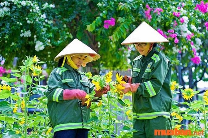 Kỹ năng cần có khi ứng tuyển nhân viên làm vườn