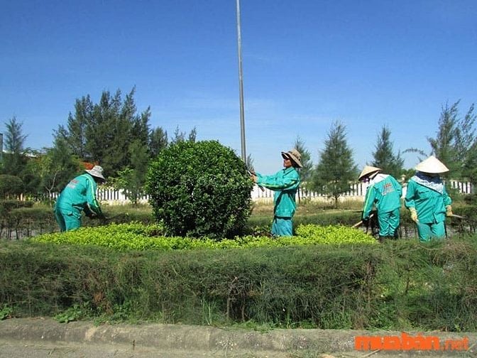 Xác định rõ yêu cầu vị trí công việc