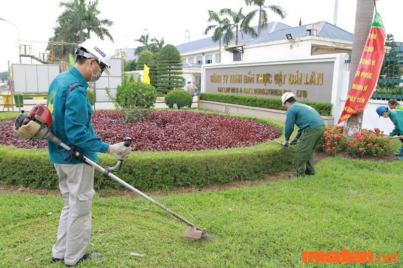 Nhân viên làm vườn phải đảm nhận nhiều công việc khác nhau