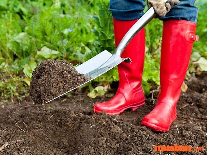 Biết cách dùng các dụng cụ làm vườn