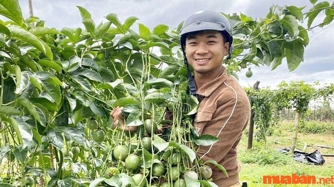 Nhu cầu tuyển dụng người trông coi trang trại hiện nay