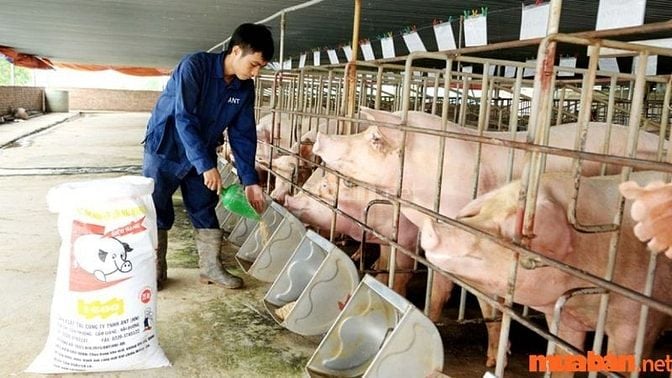 Nhu cầu tìm người trông coi trang trại tăng cao
