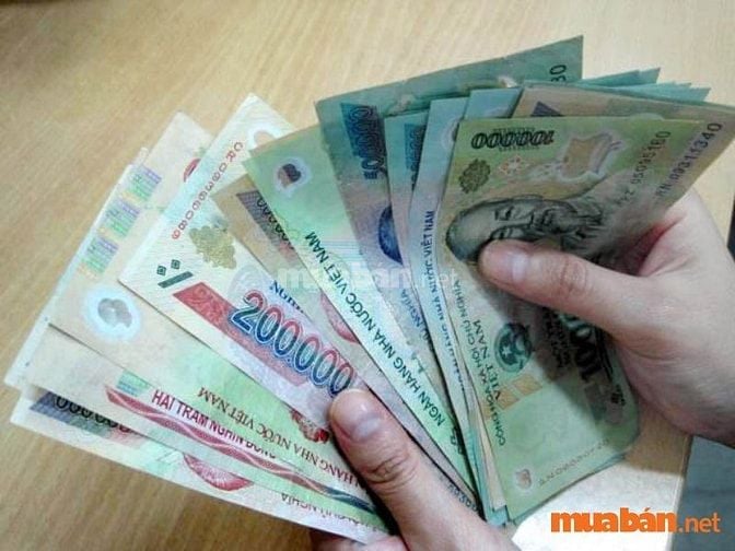 Mức lương trung bình của đầu bếp quán nhậu