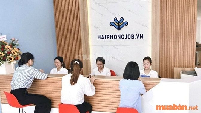 Nhu cầu tìm việc làm không cần bằng cấp tại Hải Phòng đang tăng cao