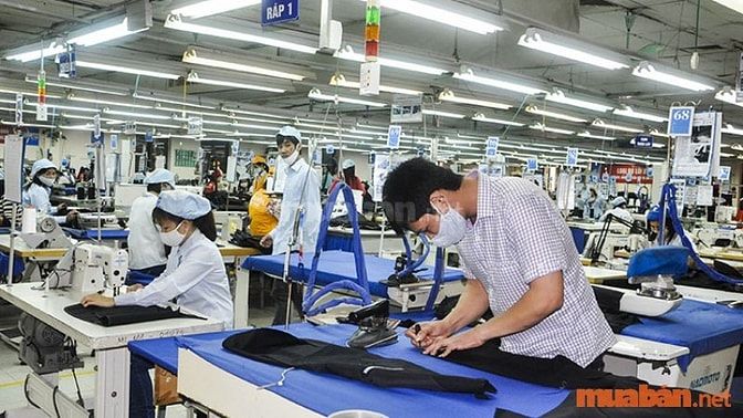 Tìm kiếm thông tin việc làm không cần bằng cấp tại Hải Phòng tại Muaban.net