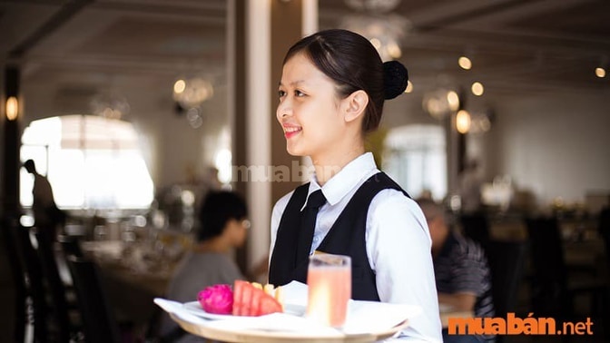 Nhân viên phục vụ là việc làm được nhiều người lựa chọn Nhân viên phục vụ là việc làm được nhiều người lựa chọn