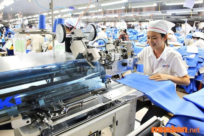 Công nhân trong các nhà máy, xí nghiệp thường làm theo cao Công nhân trong các nhà máy, xí nghiệp thường làm theo cao