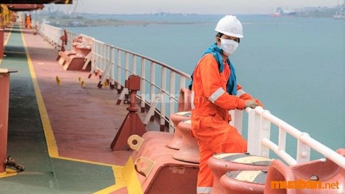 Mức lương của một số công việc làm đi tàu biển