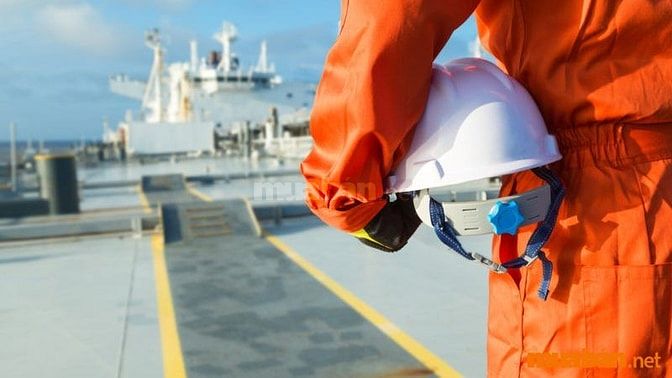 Tìm việc làm đi tàu biển uy tín tại Muaban.net