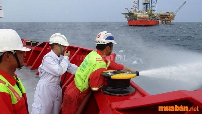 Đại phó là việc làm đi tàu biển được tuyển dụng nhiều