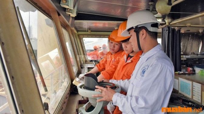 Yêu cầu khi ứng tuyển các việc làm đi tàu biển