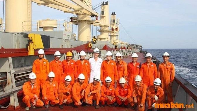 Nhu cầu tuyển dụng việc làm đi tàu biển tăng cao năm 2025