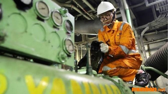 Thợ máy chịu trách nhiệm về bảo dưỡng và sửa chữa các thiết bị máy móc trên tàu