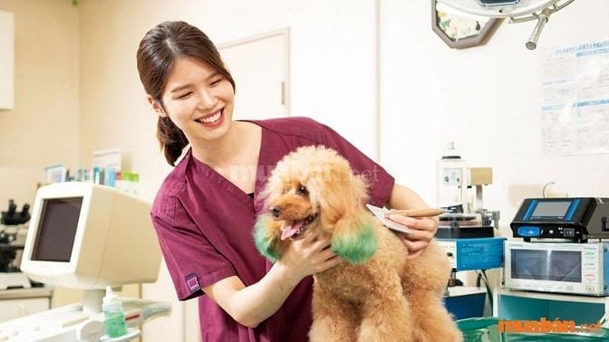 Mức lương của nhân viên chăm sóc thú cưng tại TPHCM